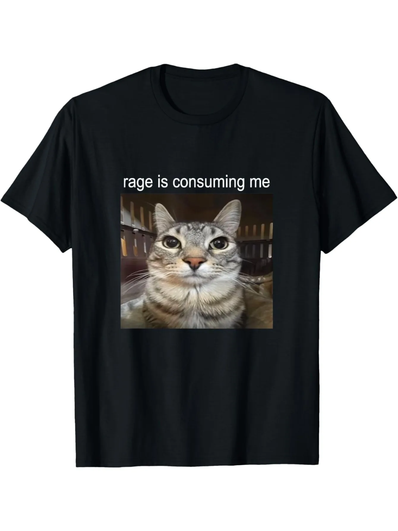 Rage Is Consuming Me Silly Staring Cat Meme T-Shirt Sommer Kurzarm Harajuku Streetwear Tops T-Shirts Ästhetische Kleidung