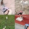 3 Meters 5 Meter Retractable Pet Dog Leash for Small Big Dogs Hiking Walking Traction Rope French Bulldog Chihuahua Accessories 4