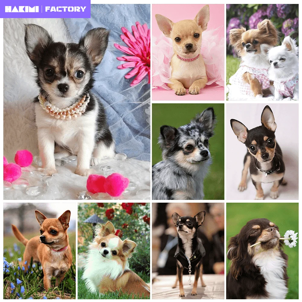 

5D DIY AB Diamond Painting Chihuahua Cute Pet Dog Cross Stitch Full Round Rhinestone Mosaic Diamond Embroidery Crafts Decor