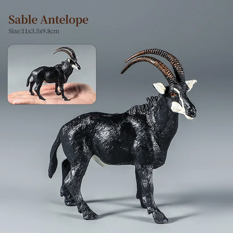 Animal-8