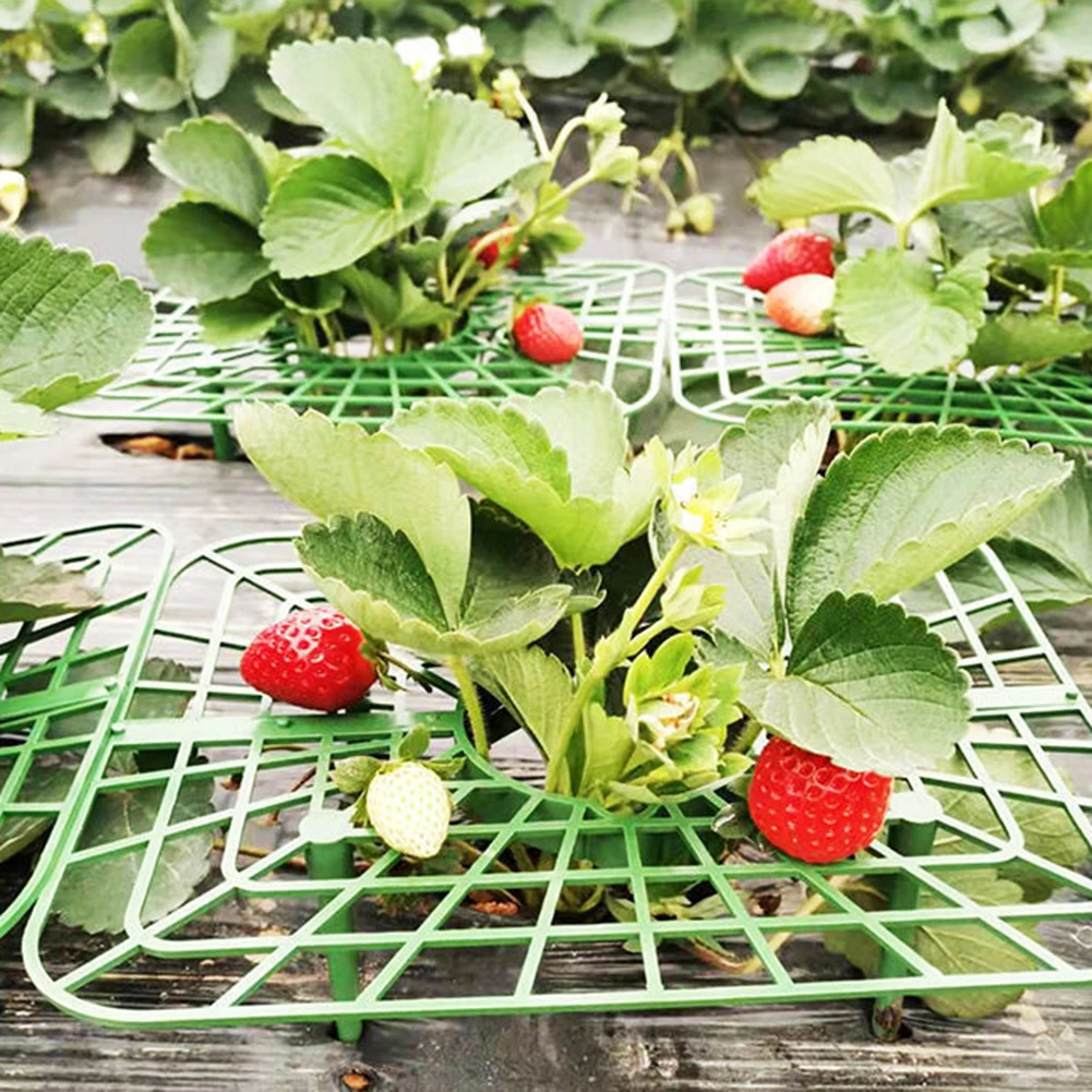 Plant Supports Strawberry 4 Support Feets Strawberry Growing Racks For Protecting Vines Avoid Ground Gardening Tool 5/10Pcs