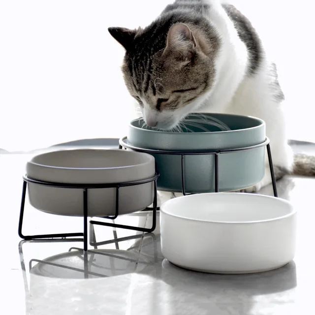 Double bols d alimentation et d eau pour chats et chiens avec support en c ramique