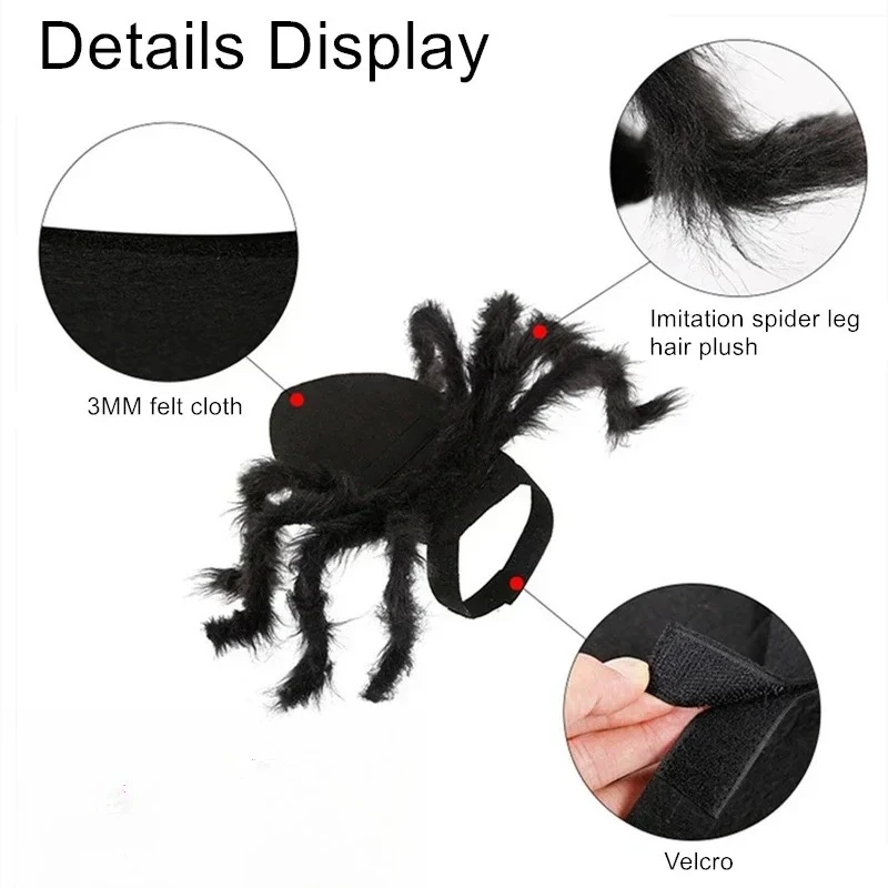 Cat wearing a Black furry spider costume