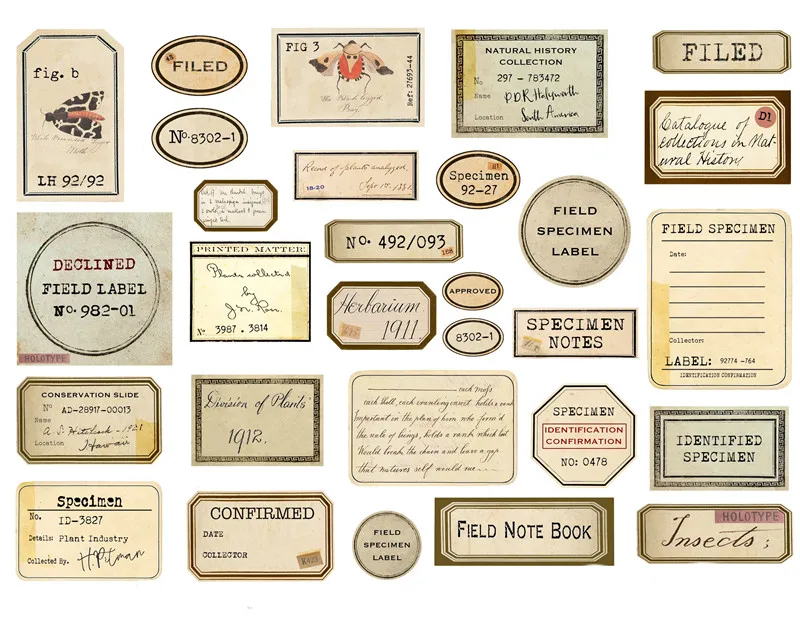 Junk journal stickers hot scrapbooking