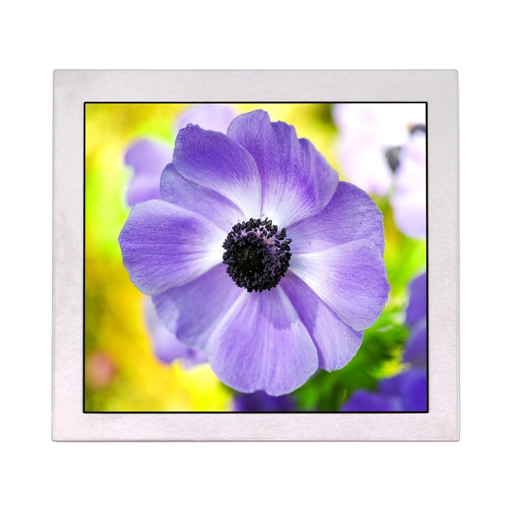 5inch 480X480 LCD Screen 90x90 900nit Square LCD Screen