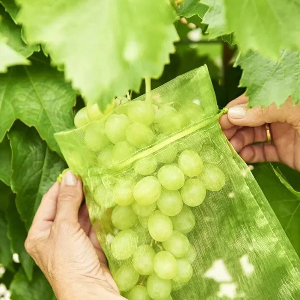 20/50/100pcs Vitus védelem Hosszúnadrág vel húzózsinórral Gyümölcs védelem Akaszkodik Szatyor Védnök pouches számára Eper organza Adomány Hosszúnadrág