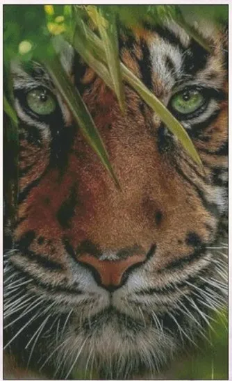 

Tiger Animal sewing kit 18CT 16CT 14CT Unprinted Cross Stitch Kits Embroidery Art DIY Handmade Needlework Home Decor