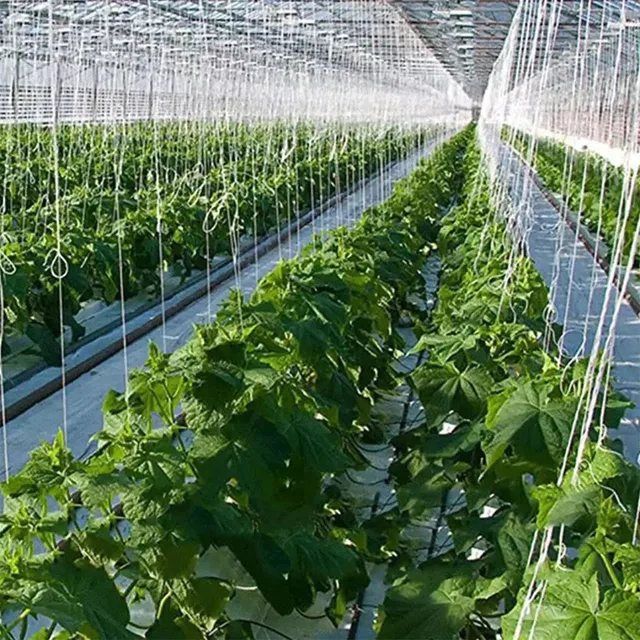 Paradicsom Rácsos Hengerek Üvegházhatású Lógó Praktikus Farm Támogató Bilincsek - Image 5