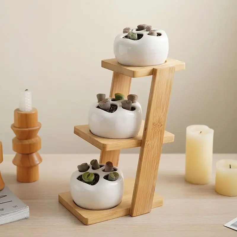 Desktop Creative Flower Rack Succulent Rack Office Living Room Small Flower Display Succulent Small