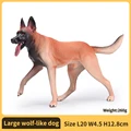 Large wolf-like dog