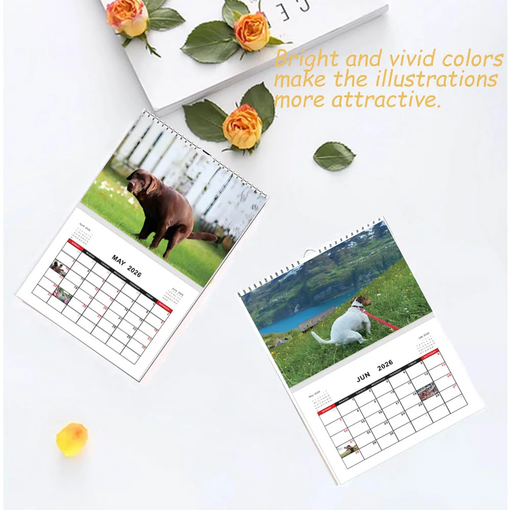 2026 Puppy Wall Calendar Valid Until June Small Easy-to-plan Calendar Perfect for Hanging on Walls Tables and Notice Boards