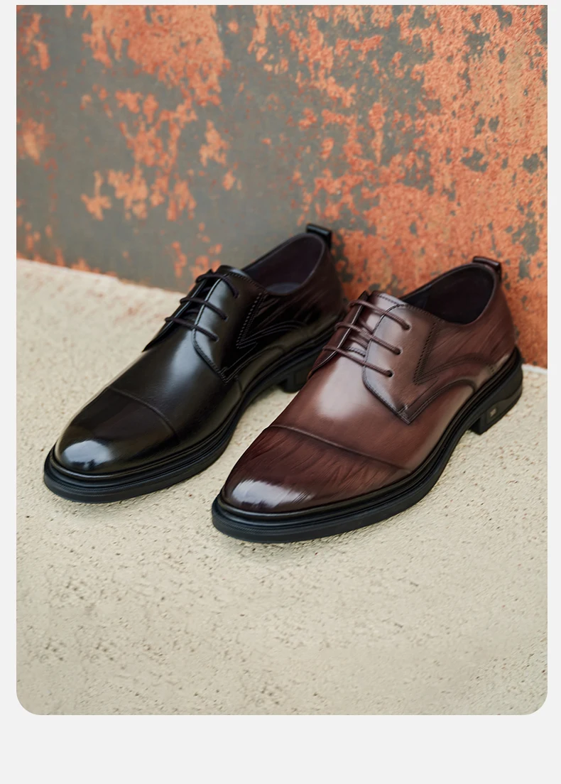 S66e5d6b497324878a50caff8331a0a5fV