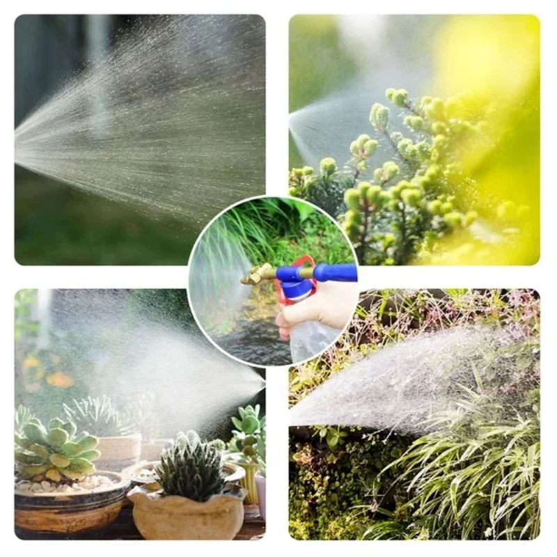 ���� ���� �й���, �̱� �� ���� ��� ���� Ŀ����, ���� Ǯ�ƿ� ���� ������ Ȳ�� �� ���� �й���