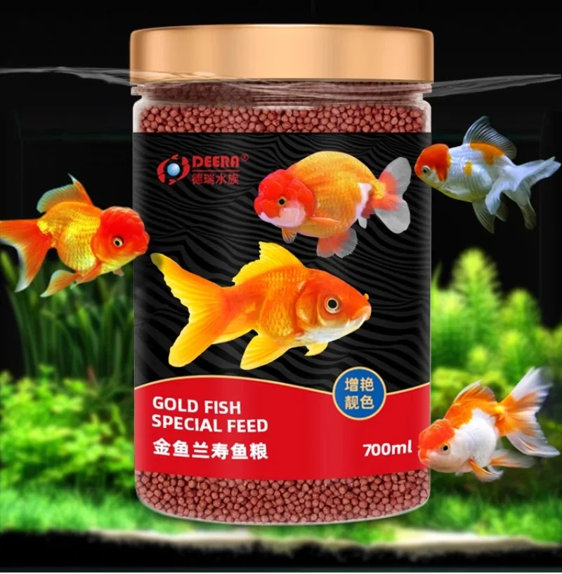 Feed Goldfish Goldfish Eat Shrimp Red Cap Oranda Goldfish