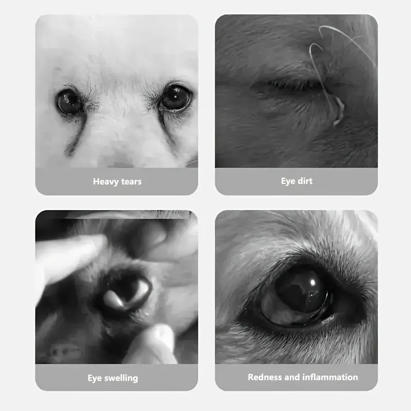 150Pcs Portable Pet Wipes Grooming Eyes Tear Stain Remover Clean Wet Paper Cat Dog Eye Wet Wipes Hygienic Grooming Pet