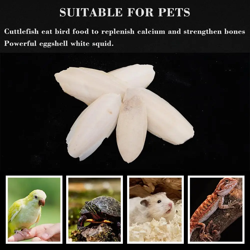 Parrot toy bird toy Cuttlefish bone For parrot Natural cuddle bone chew toys Chewing cuttlebone Easy to absorb Exercise pet's sensitivity 10Pcs