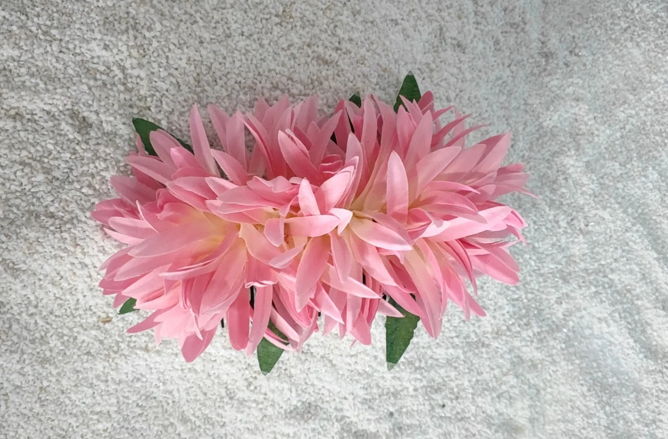 Рисунок 4 - Бесплатная доставка