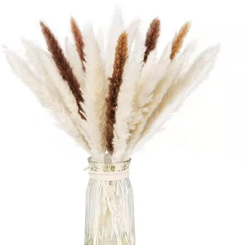 dried flower bouquet 80PCS Natural Dried Pampas Grass Bouquet,Boho Home Decor Bouquet, Phragmites Dried Flowers,Bouquet for Wedding Decor tree outdoor artificial flora artificial & dried flora