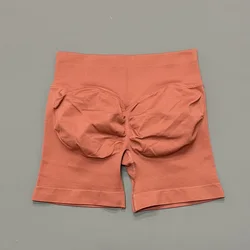 Women's Scrunch Butt Seamless Gym Shorts - Fitness & Yoga Sportswear - M (Purple Copper)