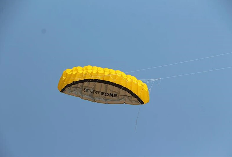 free shipping 2.5m dual Line Stunt power Kite soft kite line winder rainbow kite parafoil inflatable alien traction kite factory 3