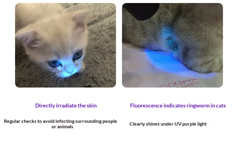 Uv Lamp For Ringworm Detection In Pets Portable Pet Skin Light_voghion.com