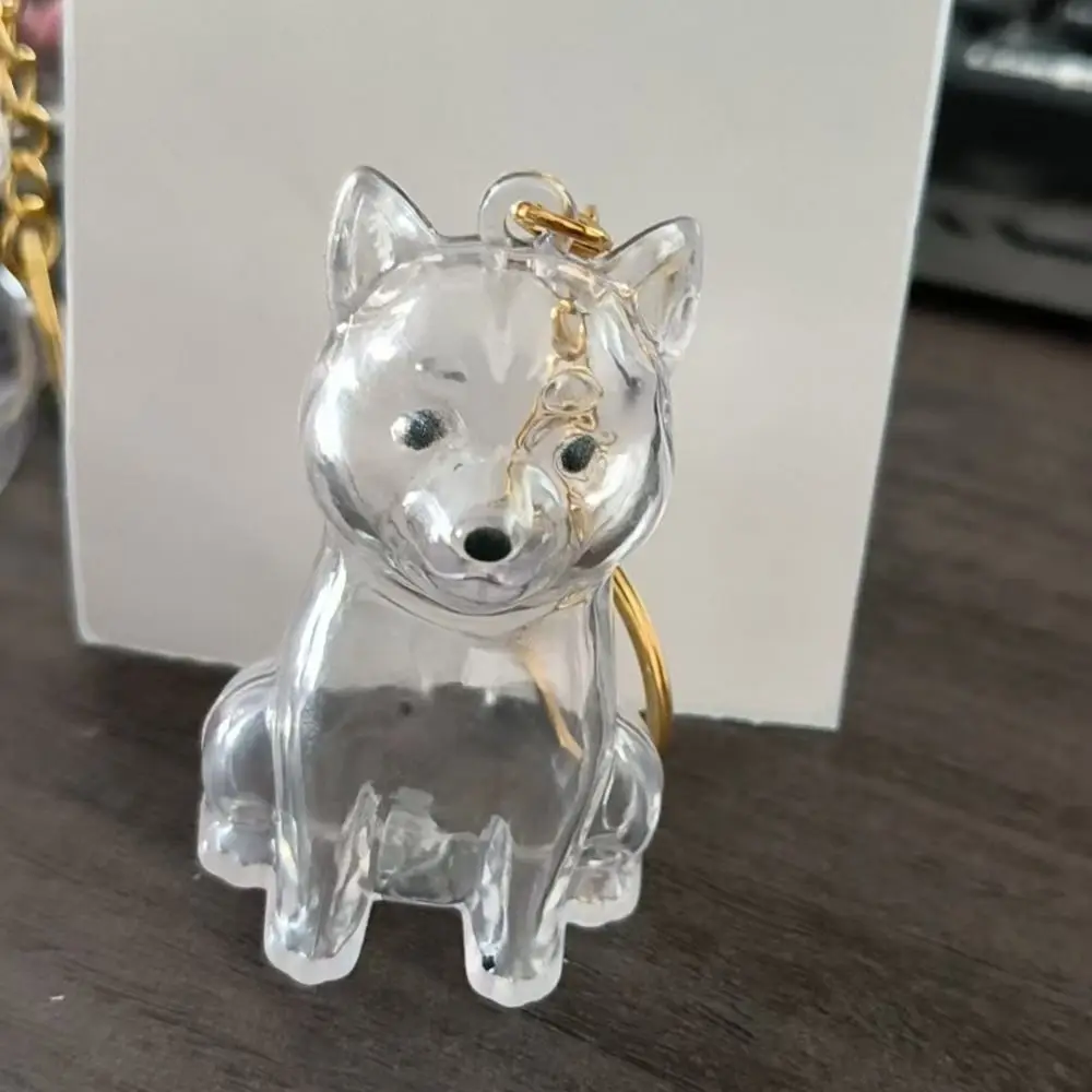 Cute Cartoon Dog Hair Storage Box & Transparent Keychain - DIY Handmade Acrylic Puppy Pendant