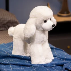 Realistic Lifelike Poodle Plush Toy - Handmade Teddy Puppy Companion Gift - 20cm (White)