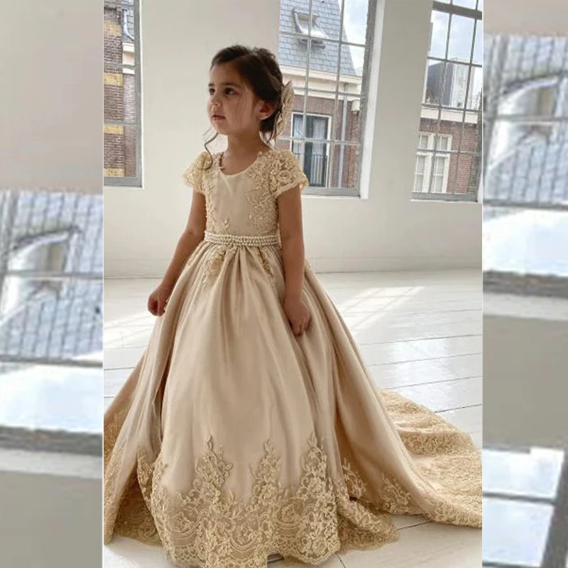 

Embroidery Appliques Short Sleeve Flower Girl Dress Ball Gown Lovely Pageant Banquet First Communion Bow Birthday Party Dress