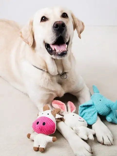 Cute Plush Toys Squeak Pet Cow Rabbit Animal Plush Toy Dog Chew Squeaky Whistling Involved Squirrel Dog Toys Cute Plush Toys Squ 2