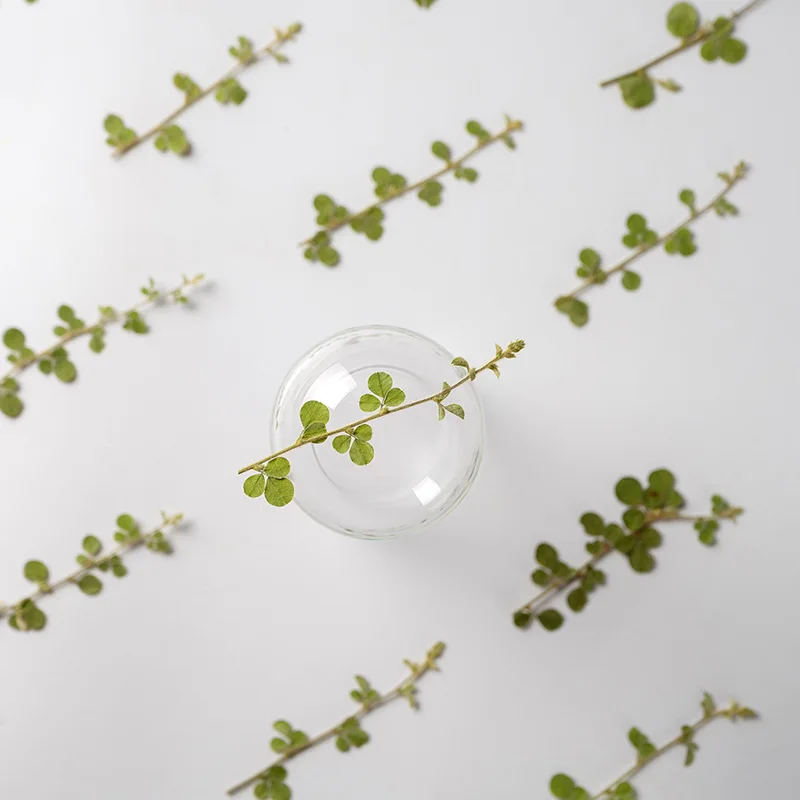 6-9cm/12pcs,Natural Real Pressed leaves,green Plant DIY Wedding invitations Craft Bookmark gift Card Scented candles decorations
