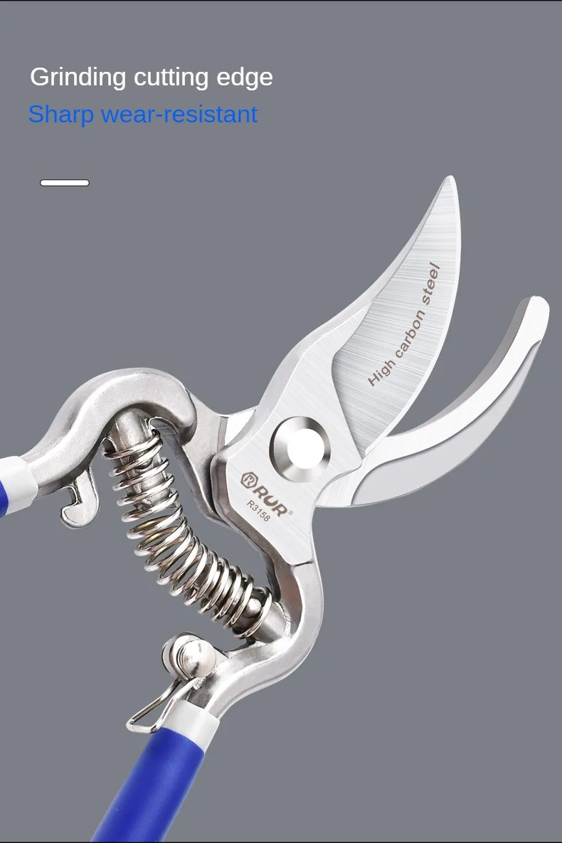 Description Picture 6 of itemGarden scissors manual pruning SK5 suitable for pruning bonsai fruit tree branches pruning pruning gardening tools 8/10 inches