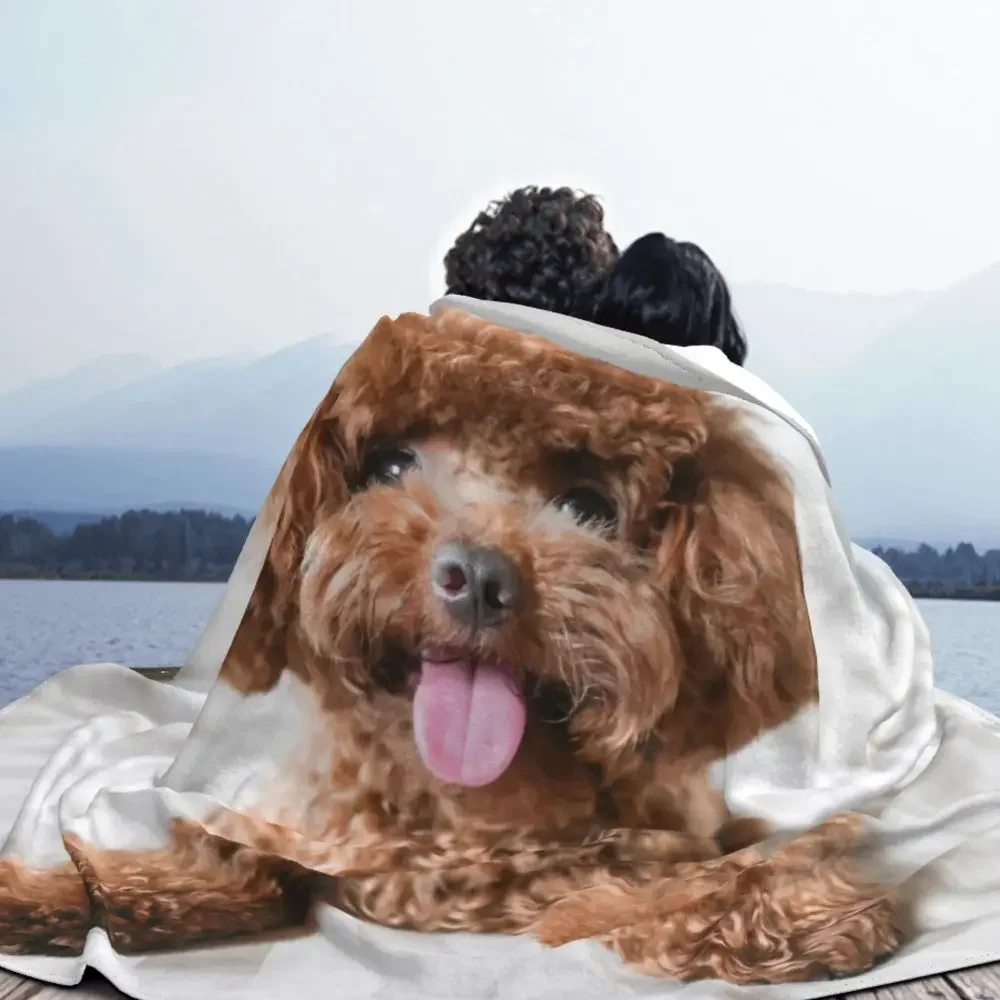cute-poodle-flannel-blanket-soft-warm-gift-for-dog-lovers