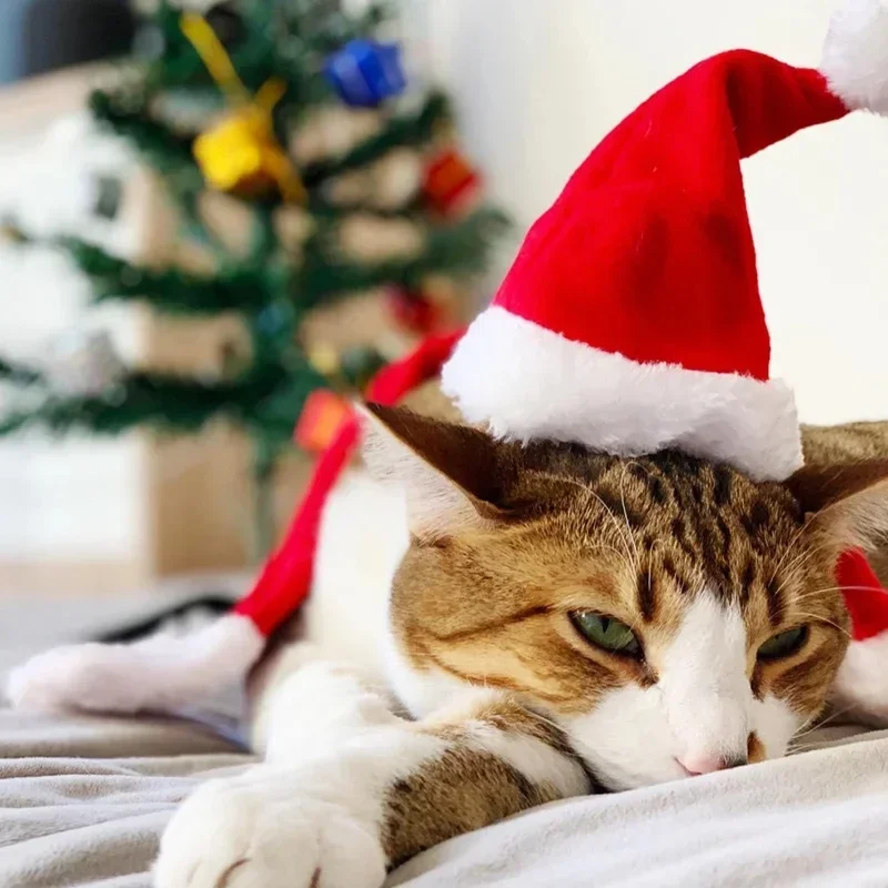 Pet Christmas Decoration New Pet Christmas Hat Dog Little Hat Red Plush Holiday Party Decoration Supplies pet hat