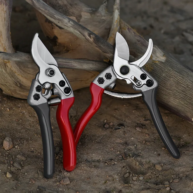 Small Garden Pruning Shears Potted Handle Orchard Scissors Branch Fruit  Picking Farm Professional Bonsai Gardening Tools - AliExpress