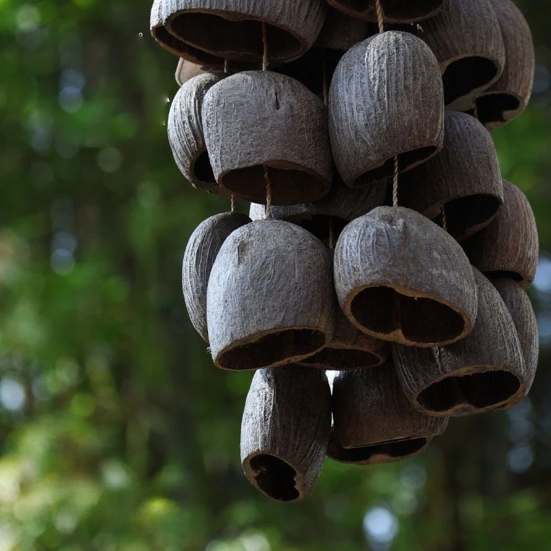 Natural Fruit Shell Hand Bell Sound Healing Outdoor Wind Chimes Meditation Yoga Spiritual Chime Bell Percussion Instrument