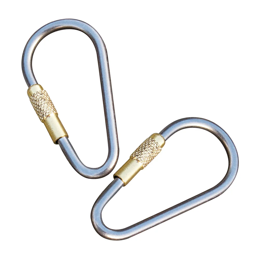 

2PCS Stainless Steel Chain Connector D Shape Locking Carabiner Threaded Carabiner Clips for Swing Hammock Camping Outdoor and