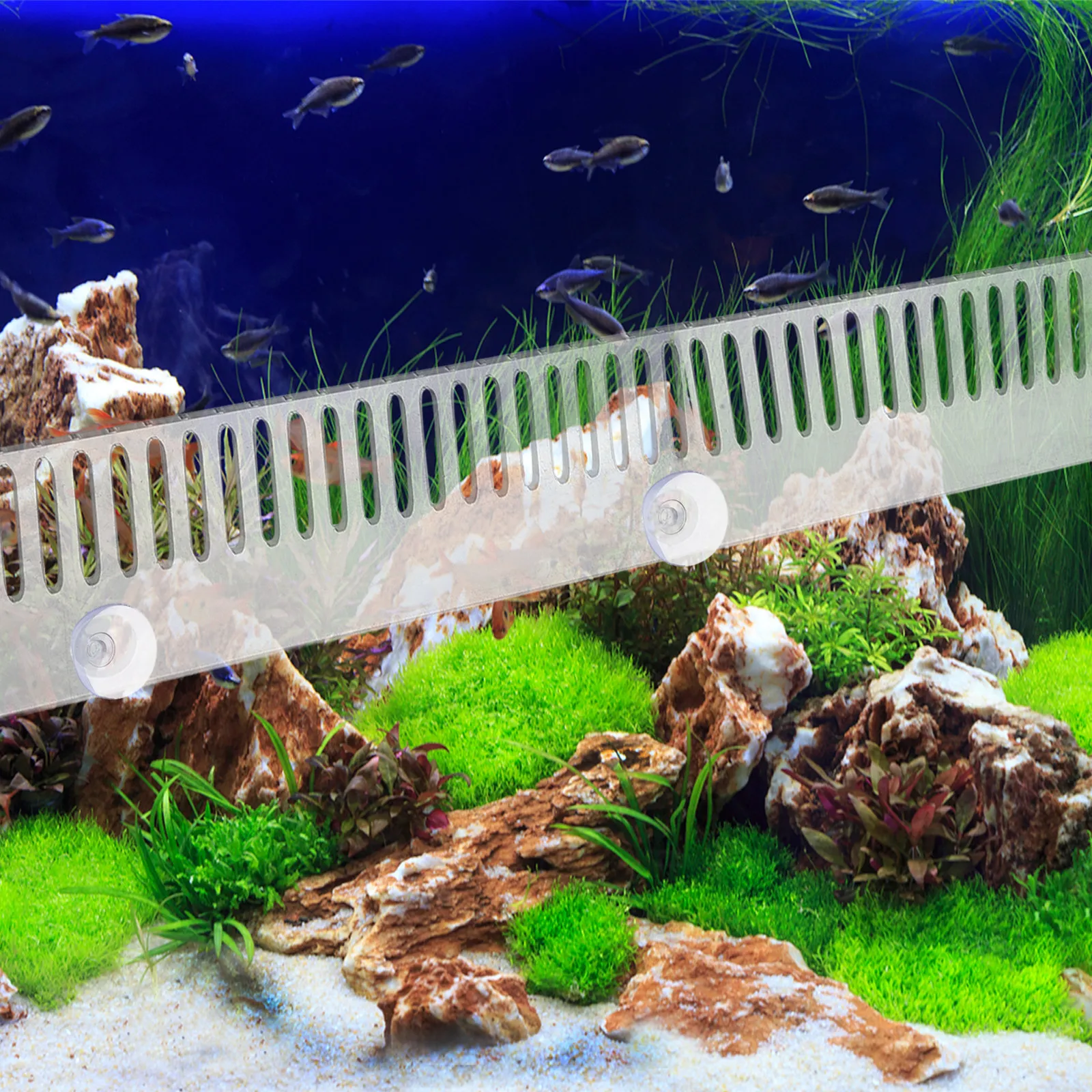 수족관 오버플로우 빗형 어류 차단 빗 아크릴 오버플로우 빗 어류 유출 방지 자..