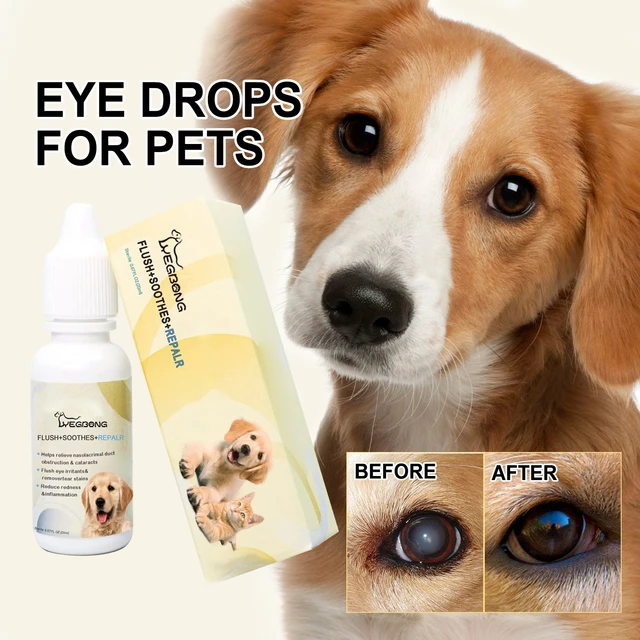 Lens Best Eye Drops For Cataracts In Dogs Near Me Cataract Drops