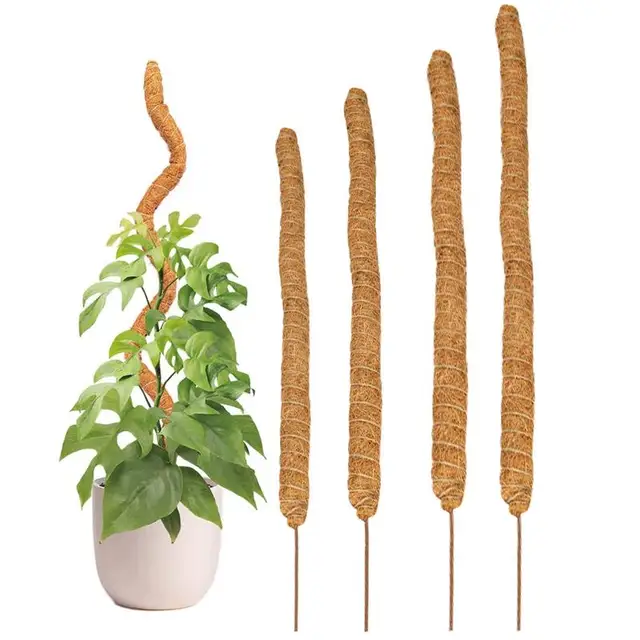 Hajlítható Coco Coir Moss Pole Mighting Stakes Plant Támogatás Meghosszabbítása A Monstera Felfelé Nőni