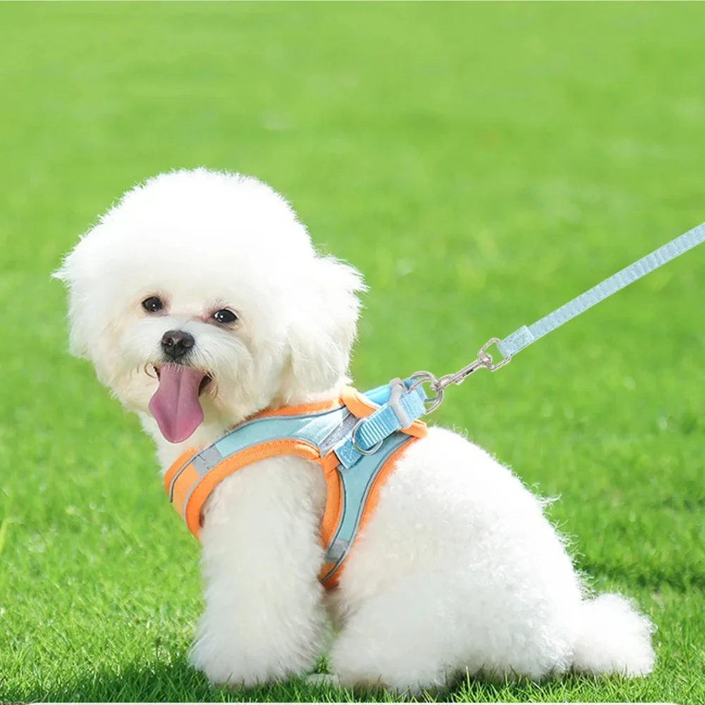 Adjustable Dog Harness For Small Dogs Cat Reflective Dog Harness And Leash Set Breathable Pet Harness Puppy Vest Dog Accessories Adjustable Dog Harness For Small Dogs Cat Reflective Dog Harness And Leash Set Breathable Pet Harness Puppy Vest Dog Accessories