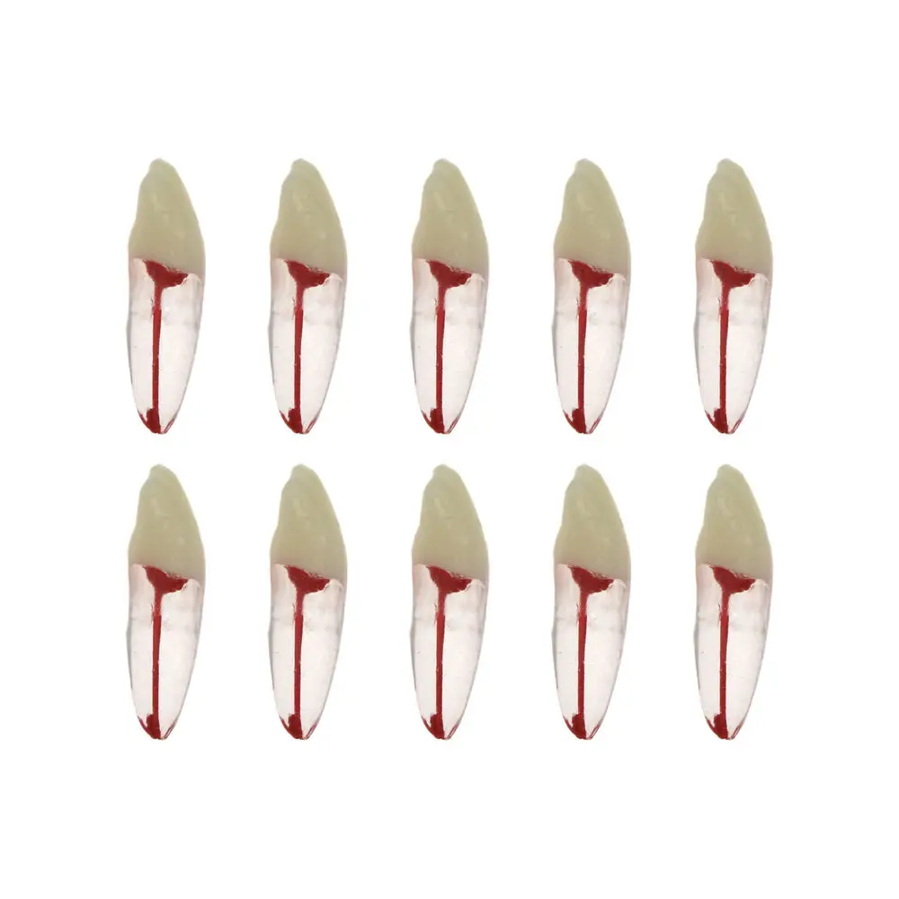 Dental Endodontic Training Model Resin Root Canal RCT Practice Model Teeth Pulp Study Endo Training Blocks Dentist Model Study