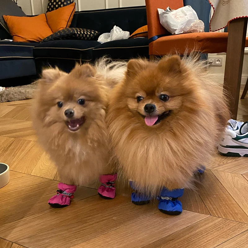 Title 1, 4pcs/set Waterproof Winter Pet Dog Shoes Anti-s...