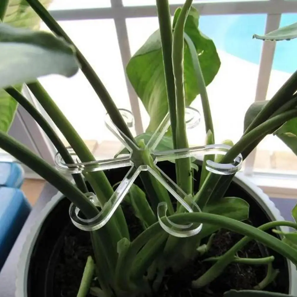 High-quality Plant Stand Plant Stem Supports for Climbing Houseplants Reusable Acrylic Holders Stakes for Indoor Vines