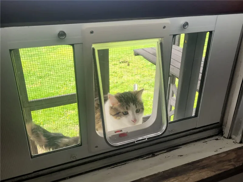 catio 