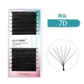 7D W Lashes