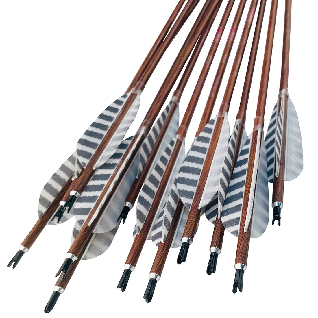 12 Flèches Aluminium Noires Pour Arc 50/80lbs – Vannes Plastique – Chasse