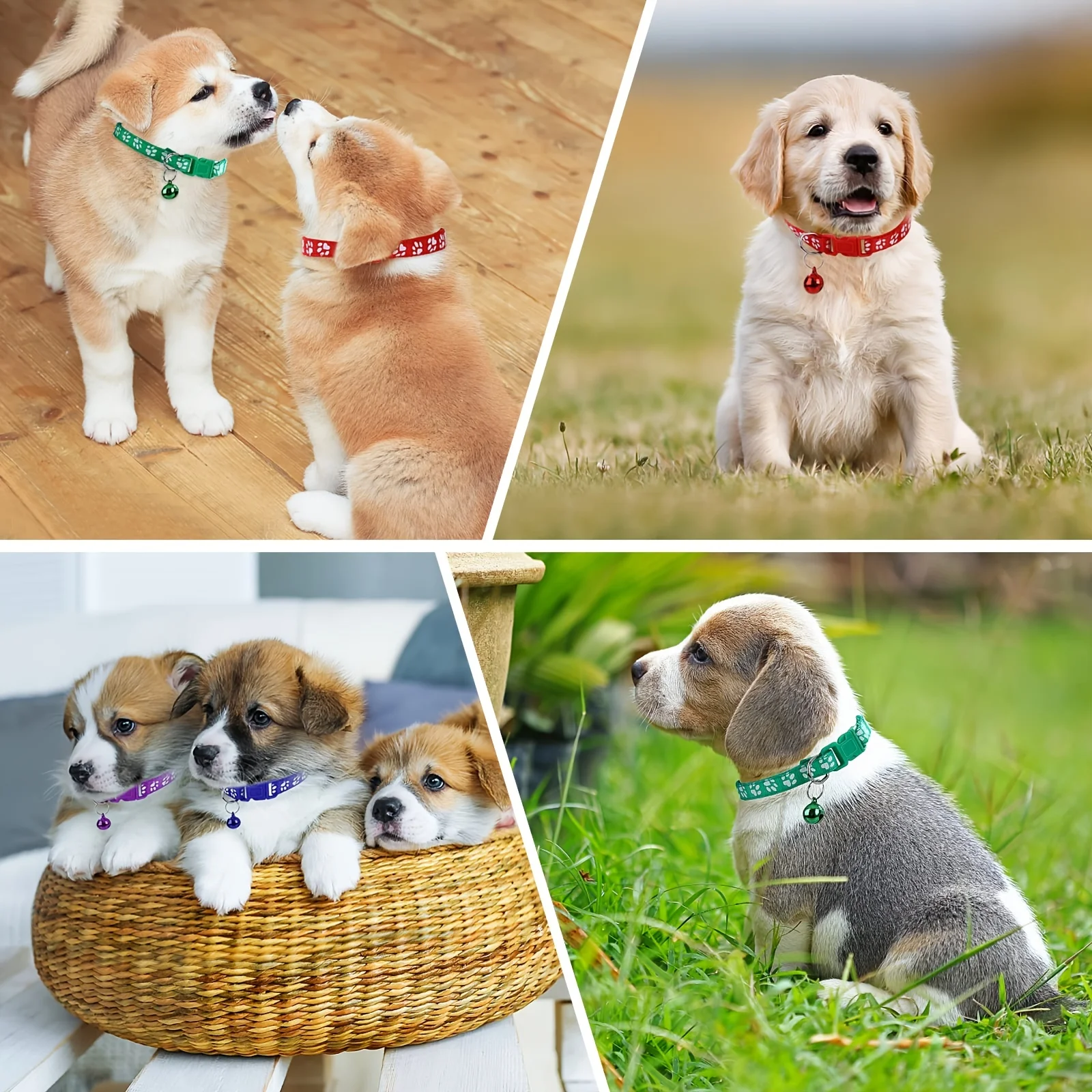 Soft Puppy Collars With Bells Adjustable Id Identification Set_voghion.com