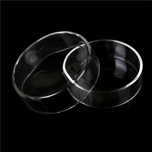 Petri Dishes High Borosilicate Glass Bacterial Petri Dish With Cover Biochemical Culture Dish Labware 60mm