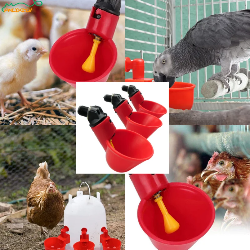 automatic goose feeder