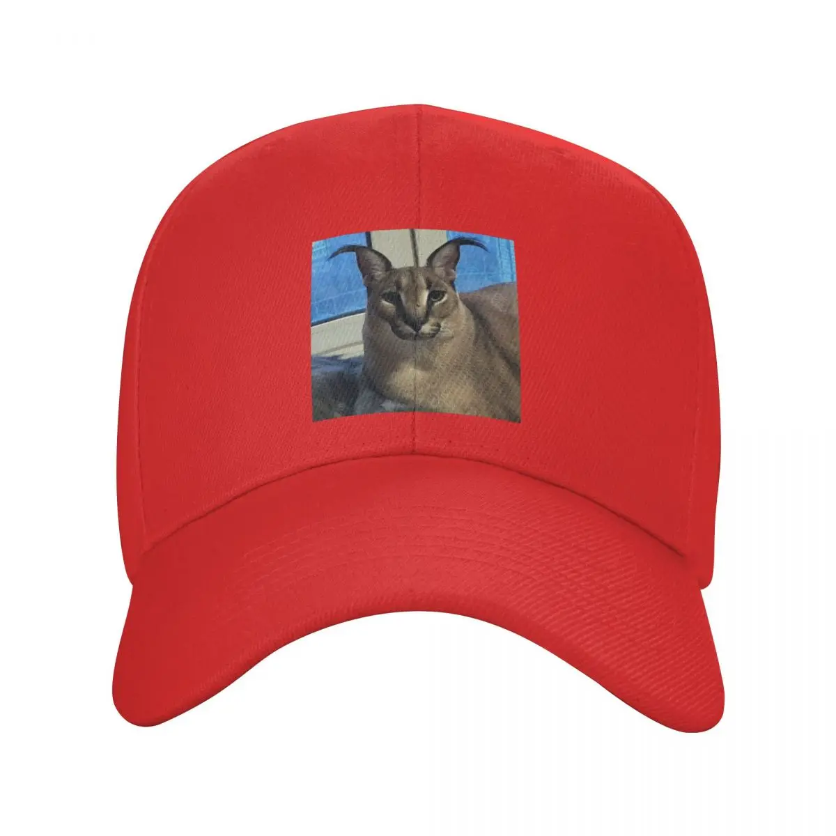 Unisex Big Floppa Meme Baseball Cap Breathable Cute Caracal Cat Sport Dad  Hat